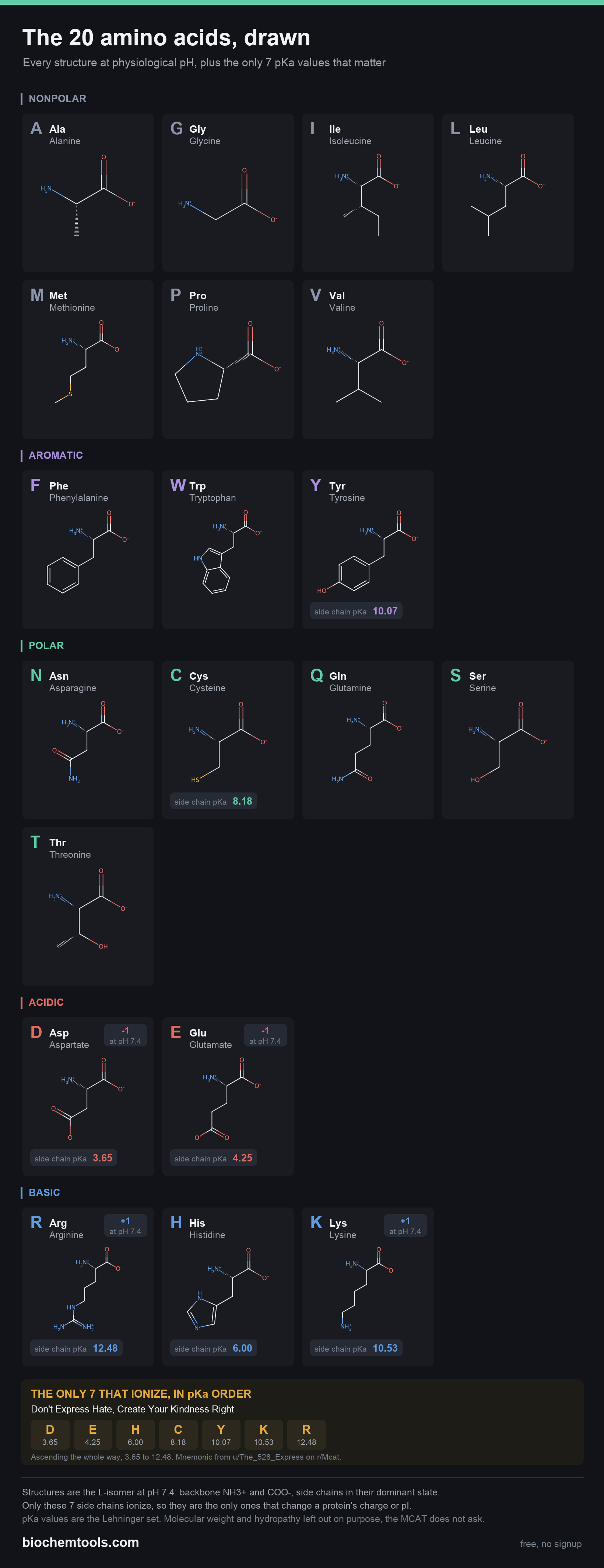 The 20 amino acids, drawn at physiological pH