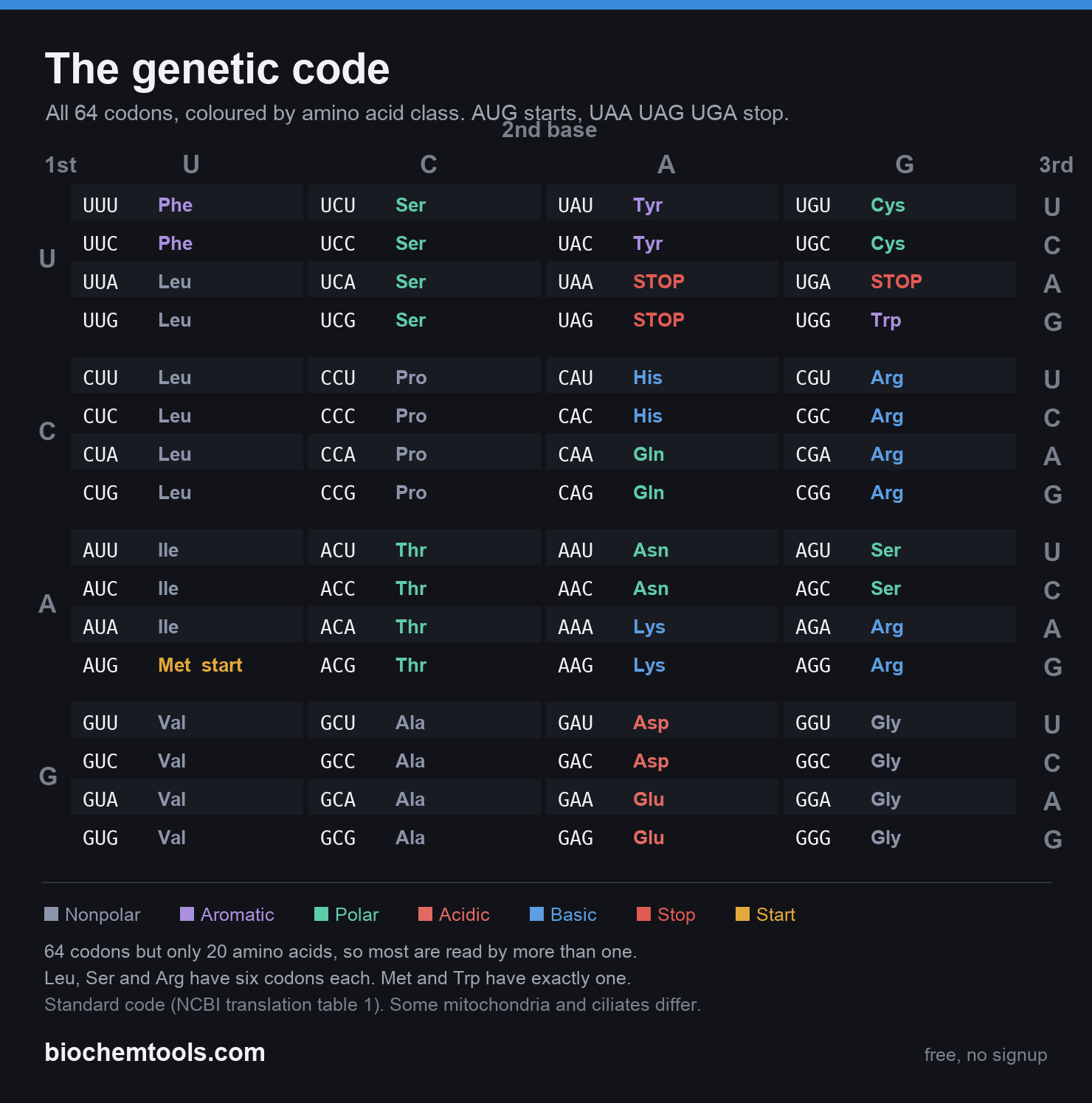 The genetic code, all 64 codons