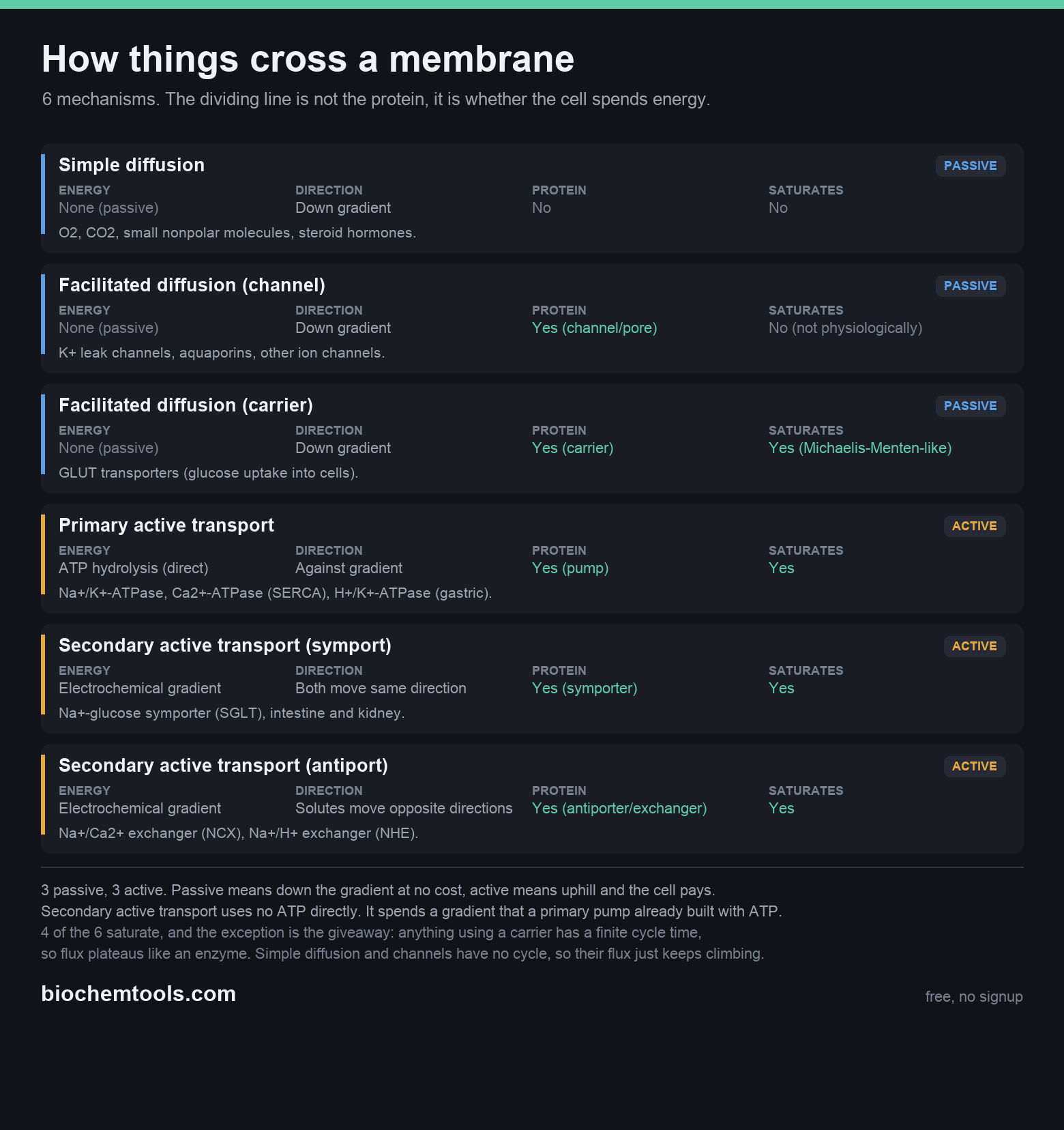 How things cross a membrane
